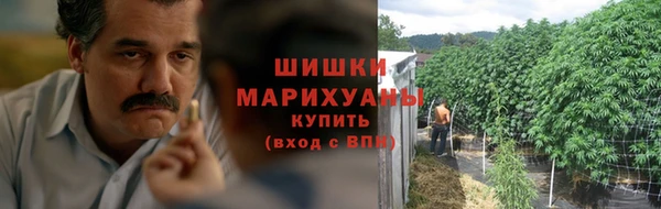 индика Остров