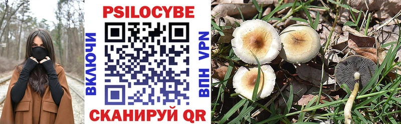 Псилоцибиновые грибы Psilocybine cubensis  Купить  Нальчик 